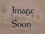 Image Soon
